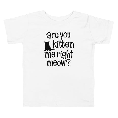 Are You Kitten Me Right Meow Tee
